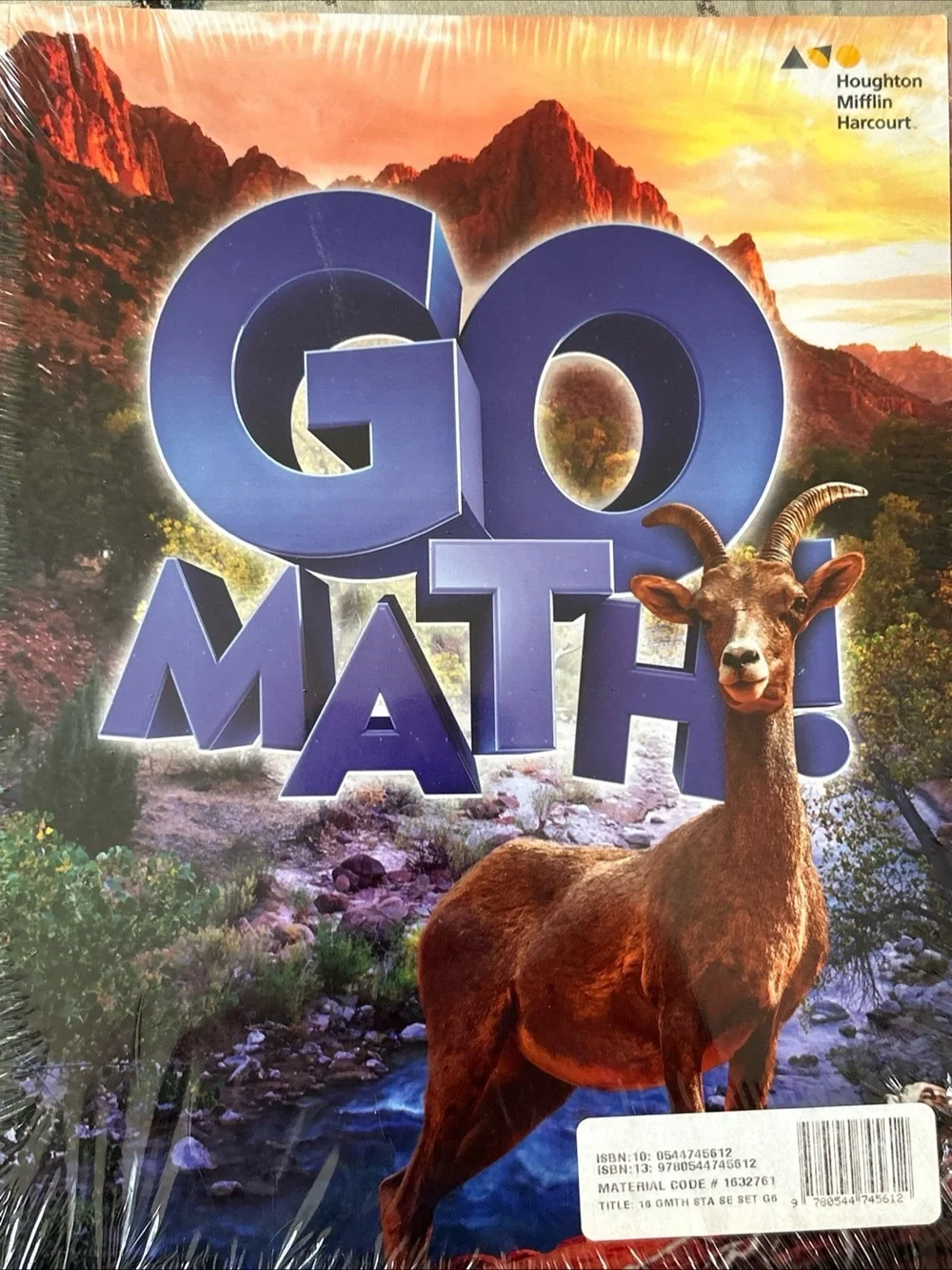 Houghton Mifflin Harcourt GO MATH 6 th grade vol 1 and 2